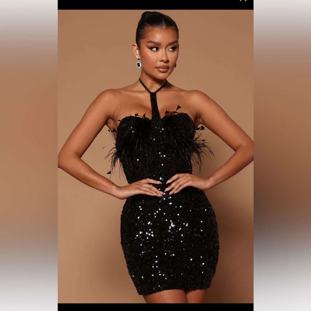 NWT Sequin Feather Dress